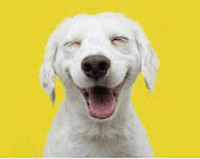 Andy Falkenstein's photo